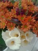 Graziela, Flores em tons laranja e branca